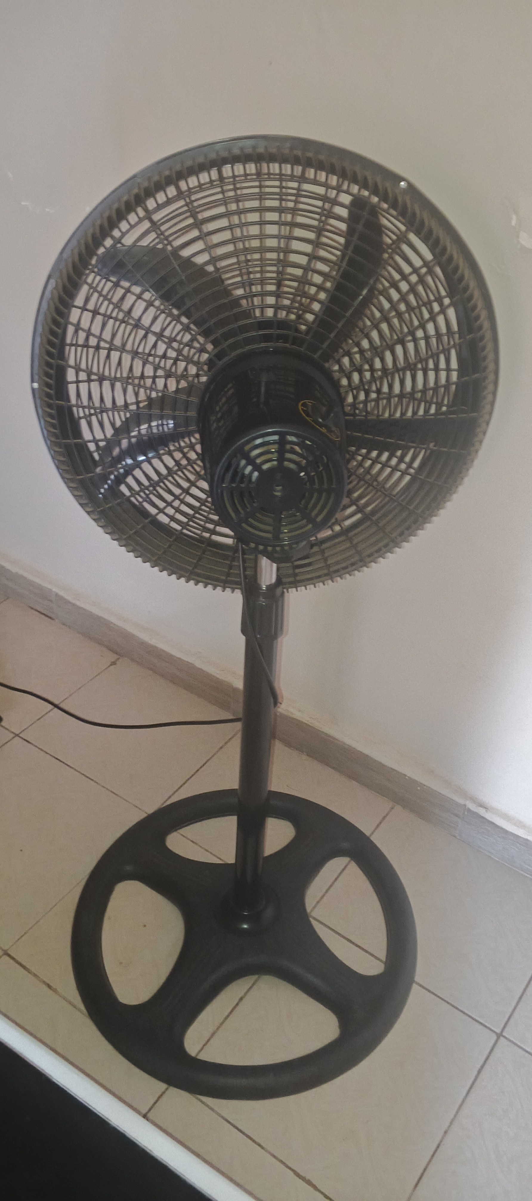 Electric Fan